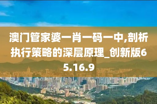 澳门管家婆一肖一码一中,剖析执行策略的深层原理_创新版65.16.9