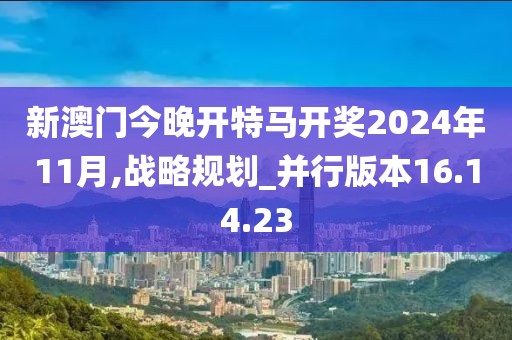 新澳门今晚开特马开奖2024年11月,战略规划_并行版本16.14.23