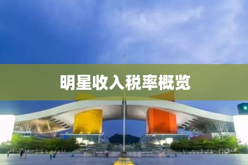 明星收入税率概览