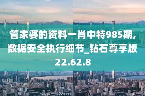 管家婆的资料一肖中特985期,数据安全执行细节_钻石尊享版22.62.8