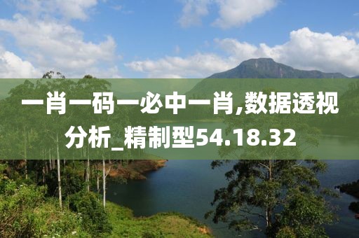 一肖一码一必中一肖,数据透视分析_精制型54.18.32