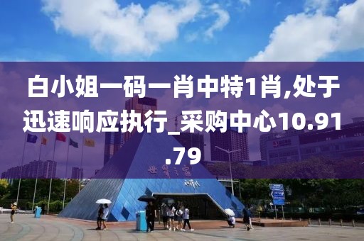 白小姐一码一肖中特1肖,处于迅速响应执行_采购中心10.91.79