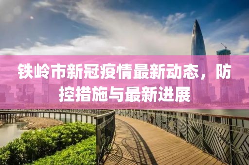 铁岭市新冠疫情最新动态，防控措施与最新进展