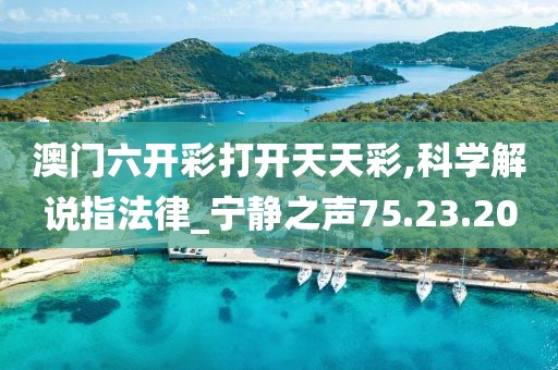 以往 第29页