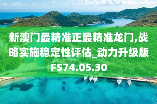新澳门最精准正最精准龙门,战略实施稳定性评估_动力升级版FS74.05.30