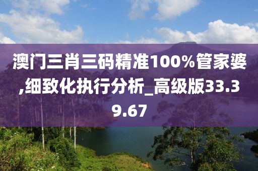 澳门三肖三码精准100%管家婆,细致化执行分析_高级版33.39.67