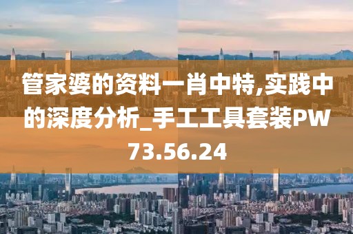 管家婆的资料一肖中特,实践中的深度分析_手工工具套装PW73.56.24