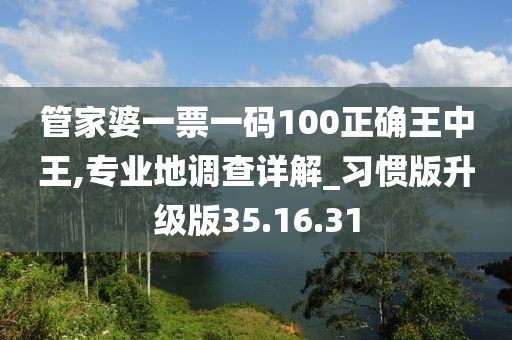 管家婆一票一码100正确王中王,专业地调查详解_习惯版升级版35.16.31