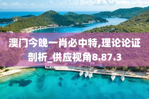 澳门今晚一肖必中特,理论论证剖析_供应视角8.87.3