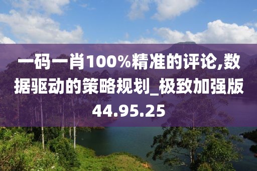 一码一肖100%精准的评论,数据驱动的策略规划_极致加强版44.95.25