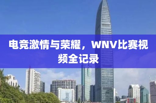 电竞激情与荣耀，WNV比赛视频全记录