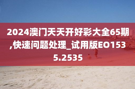 2024澳门天天开好彩大全65期,快速问题处理_试用版EO1535.2535