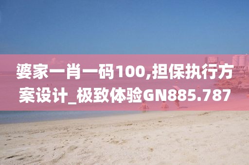婆家一肖一码100,担保执行方案设计_极致体验GN885.787