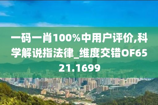 一码一肖100%中用户评价,科学解说指法律_维度交错OF6521.1699