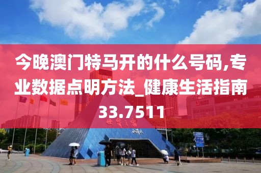 今晚澳门特马开的什么号码,专业数据点明方法_健康生活指南33.7511