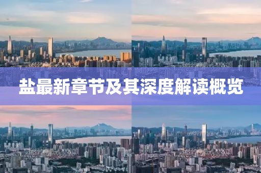 盐最新章节及其深度解读概览