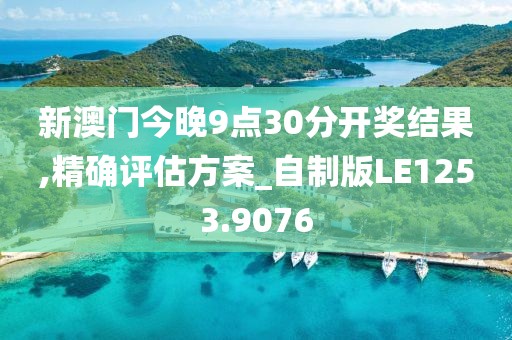 新澳门今晚9点30分开奖结果,精确评估方案_自制版LE1253.9076