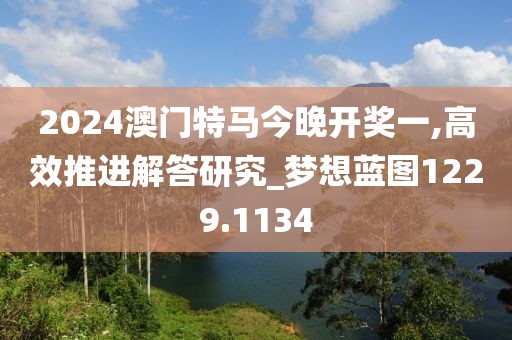 2024澳门特马今晚开奖一,高效推进解答研究_梦想蓝图1229.1134