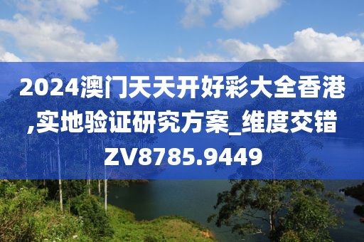2024澳门天天开好彩大全香港,实地验证研究方案_维度交错ZV8785.9449