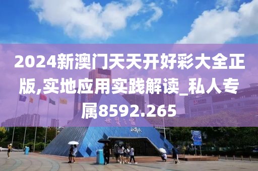 2024新澳门天天开好彩大全正版,实地应用实践解读_私人专属8592.265