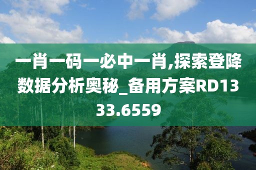 一肖一码一必中一肖,探索登降数据分析奥秘_备用方案RD1333.6559