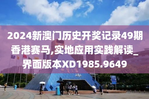 2024新澳门历史开奖记录49期香港赛马,实地应用实践解读_界面版本XD1985.9649