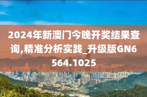 2024年新澳门今晚开奖结果查询,精准分析实践_升级版GN6564.1025