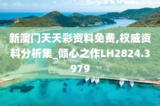 新澳门天天彩资料免费,权威资料分析集_倾心之作LH2824.3979