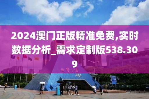 2024澳门正版精准免费,实时数据分析_需求定制版538.309