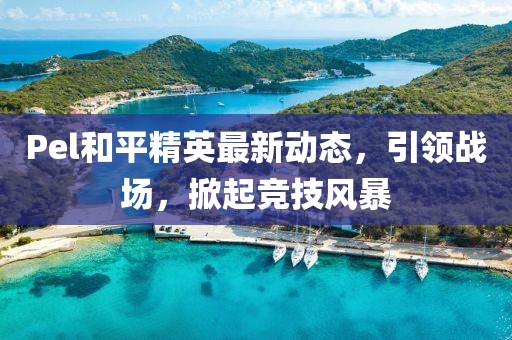 Pel和平精英最新动态，引领战场，掀起竞技风暴