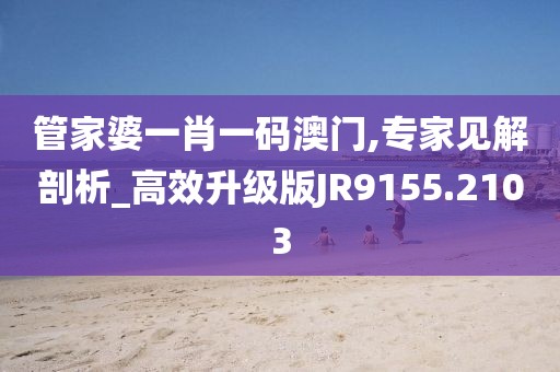 管家婆一肖一码澳门,专家见解剖析_高效升级版JR9155.2103