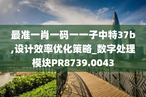 最准一肖一码一一子中特37b,设计效率优化策略_数字处理模块PR8739.0043