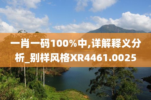 一肖一码100%中,详解释义分析_别样风格XR4461.0025