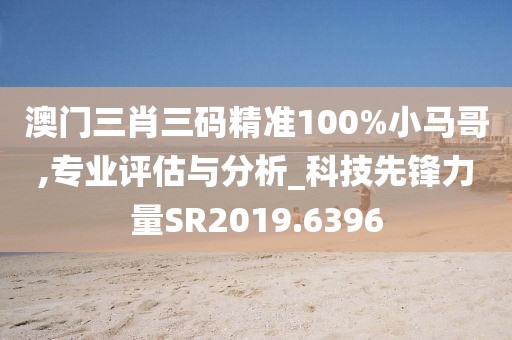 澳门三肖三码精准100%小马哥,专业评估与分析_科技先锋力量SR2019.6396