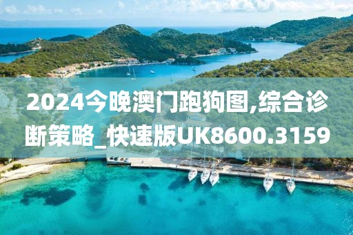 2024今晚澳门跑狗图,综合诊断策略_快速版UK8600.3159