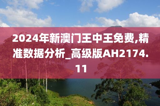 2024年新澳门王中王免费,精准数据分析_高级版AH2174.11