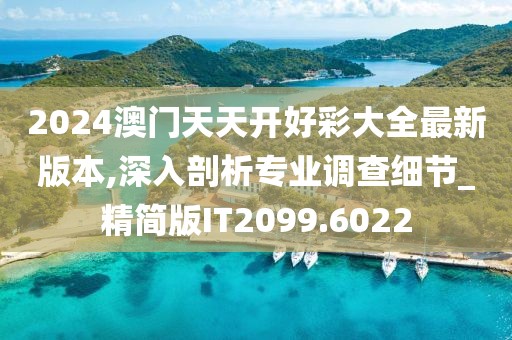 2024澳门天天开好彩大全最新版本,深入剖析专业调查细节_精简版IT2099.6022