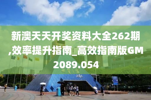新澳天天开奖资料大全262期,效率提升指南_高效指南版GM2089.054