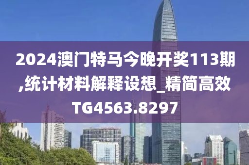 2024澳门特马今晚开奖113期,统计材料解释设想_精简高效TG4563.8297