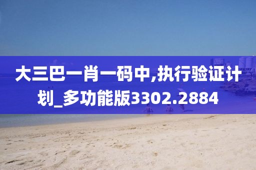 大三巴一肖一码中,执行验证计划_多功能版3302.2884