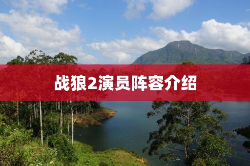 战狼2演员阵容介绍