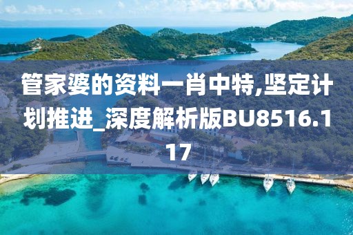 管家婆的资料一肖中特,坚定计划推进_深度解析版BU8516.117