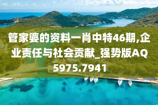 管家婆的资料一肖中特46期,企业责任与社会贡献_强势版AQ5975.7941