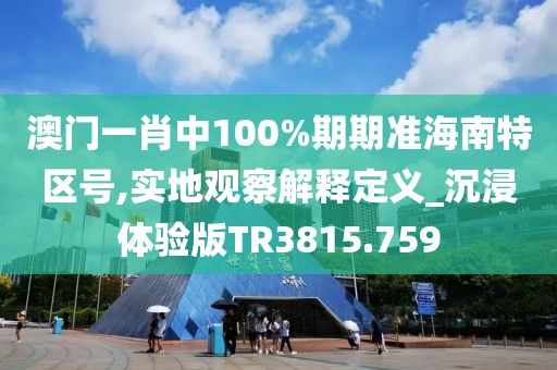 澳门一肖中100%期期准海南特区号,实地观察解释定义_沉浸体验版TR3815.759