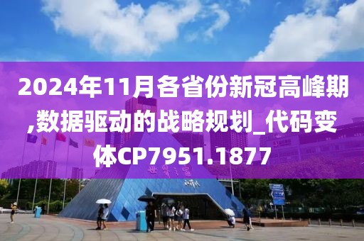 2024年11月各省份新冠高峰期,数据驱动的战略规划_代码变体CP7951.1877