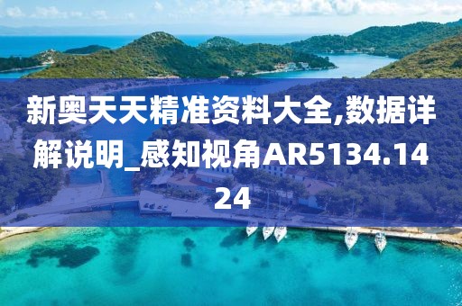 新奥天天精准资料大全,数据详解说明_感知视角AR5134.1424
