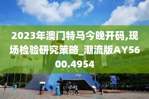 2023年澳门特马今晚开码,现场检验研究策略_潮流版AY5600.4954