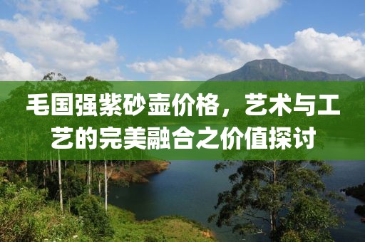 毛国强紫砂壶价格，艺术与工艺的完美融合之价值探讨