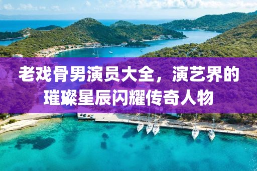 老戏骨男演员大全，演艺界的璀璨星辰闪耀传奇人物