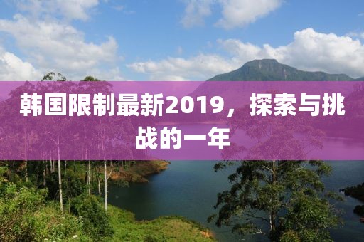 韩国限制最新2019，探索与挑战的一年